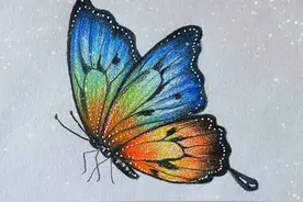 超详细的蝴蝶教程来喽，简单又好看！ #彩铅手绘 #儿童画 #蝴蝶 #2024抖音生活记忆 #频繁记录因为生活值得