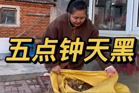 下午5点钟天黑，干活得抓紧时间#记录真实生活 #农村生活 #新农人计划2024 #我的乡村生活 @DOU+小助手