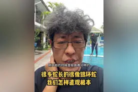很多无毒蛇白焕蛇长得特别像银环蛇，我们怎样直观地分辨它们#银环蛇 #白环蛇