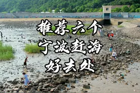 推荐六个宁波周末赶海、游玩和遛娃的好地方。#赶海