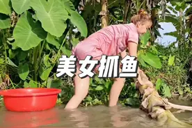 农村美女勤劳能干，一手摸鱼技术让人大开眼界#户外 #捕鱼 #抓鱼