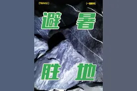 生态环境是第一，招商引资害慈利。视频封面