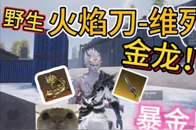 冰河禁区神秘打野点🤩居然有火焰刀维列！ #和平精英 #地铁逃生