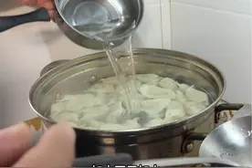 情侣二人因煮饺子时要不要放水发生争执，来自内蒙的姑娘表示从小到大煮饺子都不需要加水，来自山东的小伙表示，水开就要加水，反复三次饺子才能熟