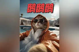 纯鹅、白鹅、天鹅、黑天鹅、鹅鹅鹅 #洛杉矶生活 #洛杉矶#俄乌冲突 #美国生活 #奥运会视频封面