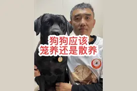 狗狗应该笼养还是应该散养？#养狗经验分享 #科学养宠攻略 #我和狗狗的故事 #萌宠 #狗狗故事视频封面