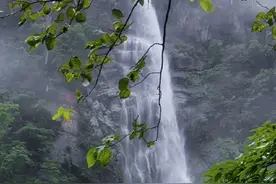 还有六天免费！错过了只有等明年！雨季的云谷飞瀑真的很壮观，一起去感受古人诗词里的场景吧！#这个夏天总要看次瀑布吧 #dou出你的私藏景点 #宜春瀑布 #古人诗中的场景 #治愈系风景视频封面