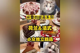 荷兰和法式，两家独立小众甜品，撸猫下午茶#pidan猫粮 #国庆嗨吃指南 #美食创作人计划 #国庆吃喝玩乐节 #中秋国庆吃货的探店日记视频封面