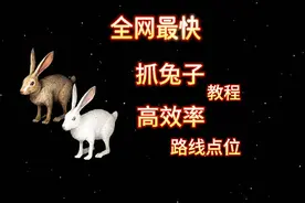 全网最快抓兔子教程，怎么抓兔子，点位路线#明日之后
