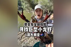 据说，这是世界上最大的小龙虾品种。。 #大豪夫妇视频封面