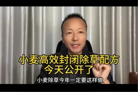 好消息！#小麦封闭除草 配方公开了，你如果是种田大户一定要下一单试一试#关注我每天为你分享更多农业知识 #新农人计划2023 #来抖音学农枝 #中海聊农业视频封面