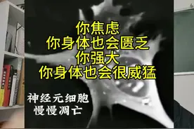 当你焦虑时，你神经元就低迷了，当你兴奋时，你神经元就开心了！视频封面