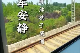 东北火车是真的安静啊！东北没熊孩子！ #东北火车 #东北孩子 #123321 #东北 #乡愁记忆视频封面