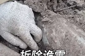 俄乌战场惊险的排雷现场#军事爱好者#军事科技#俄罗斯视频封面