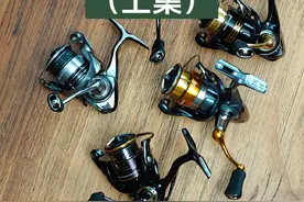 达瓦入门级纺车轮究竟应该如何选？ 达瓦 达亿瓦