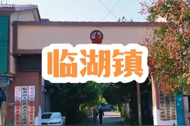 #航拍最美家乡  #亳州乡镇 #历史变迁 #涡阳县 #临湖镇视频封面