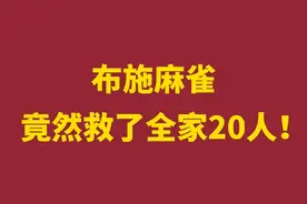 布施麻雀，竟然救了全家20人。#创作灵感 #因果 #布施 #福报 #报恩 @DOU+小助手视频封面