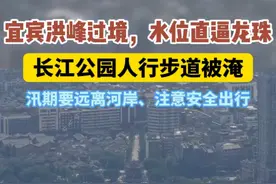 7月25日宜宾洪峰过境，水位直逼龙珠！ #宜宾 #宜宾涨水 #防汛抗洪 #洪峰过境 #宜宾新闻