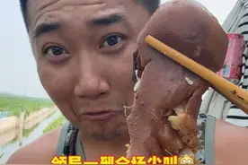 #不敢想象这一口多好吃 #大口吃肉的感觉太爽了 #记录真实生活 #老饭盒 #干饭人