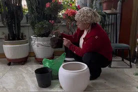 #这个花园小屋装满了春天 #生活的美无处不在 #好看的花一定要分享给你 感谢花友们的点赞与关注，祝大家身体健康视频封面