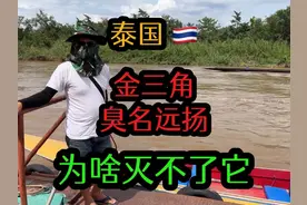 臭名远扬的金三角，为啥一百年来也没清除掉，这是因为啥 #泰国