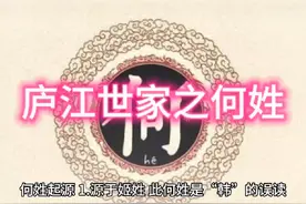 中华姓氏—庐江世家之何姓#姓氏#何氏家族#庐江世家#历史视频封面