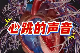 心跳的声音，它是怎么形成的？ #心跳 #心音 #心脏 #内容启发搜索 #抖出健康知识宝藏视频封面