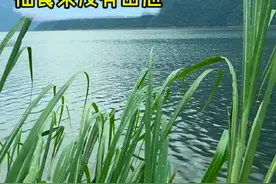 抽餐条还是蛮过瘾，今天这鸡也蛮好吃#原来钓鱼才是抖音运动顶流 #2023dou来钓鱼 #dou是钓鱼人 #钓鱼视频封面