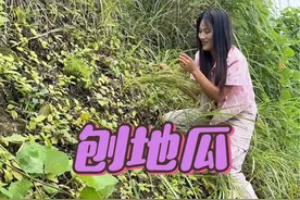 野果中的天花板，吃说在城里要卖一百多块钱一斤？今天拿来它来做冰粉，简直不要太好吃#野地瓜 #我的乡村生活