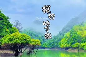 第27期：这期探钓的是东阳荒野水库，成功斩获10斤大鲤视频封面