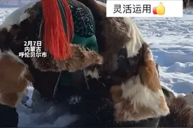 不用水就能洗衣服？零下25度 牧民用雪清洗羊皮袄 网友：这才是最正宗的干洗 环保0耗能#牧区视频封面