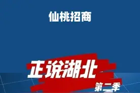 仙桃到北京招商，雷军这回没去。#仙桃 #湖北 #湖北dou知道 #大v说视频封面