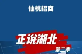 仙桃到北京招商，雷军这回没去。#仙桃 #湖北 #湖北dou知道 #大v说视频封面