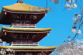 允许任何事情的发⽣。 我允许事情是如此的开始，如此发展，如此结局。因为我知道，所有的事情，都是因缘和合⽽来，发生皆是必然。若我质疑抑或否定，受伤害的，只有⾃⼰。 我唯⼀能做的，就是允许。  我允许别人如他所是。 我允许，他会有这样的所思所想， 如此的评判我，如此的对待我。 因为我知道，他本来就是这个样子， 在他那里，他是对的。 若我觉得他应该是另外一种样子， 伤害的只是自己。 我唯一能做的，就是允许。  我允许我有了这样的念头。 我允许，每一个念头的出现，任它存在，任它消失。因为我知道，念头本身本无意义，与我无关， 它该来会来，该走会走。若我觉得不应该出现这样的念头，伤害的，只是自己。 我唯一能做的，就是允许。  我允许我升起了这样的情绪， 我允许，每一种情绪的发生， 每⼀种情绪，任其发展，任其消散。 因为我知道，情绪只是⾝体的感知， 本⽆好坏。越是抗拒，越是强烈。 若我抵触抑或抗拒， 受伤害的，只是⾃⼰。 我唯⼀能做的，就是允许。  我允许，我就是这样的表现。 我表现如何，就任我表现如何。 因为我知道，外在只是⾃我的积淀， 真正的我，智慧充盈。 若我对此不再坚信， 受伤害的，只有⾃⼰。 我唯⼀能做的，就是允许。  我知道， 我是为了当下的生命体验⽽来。 在每⼀个当下，我唯⼀要做的， 就是全然地允许，充分地经历，彻底地体验，尽情地享受。 静静的看着，只是看着。 然后，允许⼀切发生。