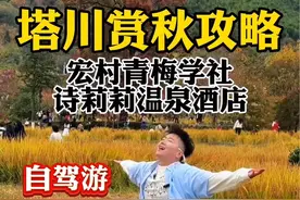 这个季节自驾来皖南有多美？这份塔川赏秋徒步游攻略收藏好！ #塔川秋色 #江浙沪周边游 #赏秋 #安徽秋天打卡攻略 #亲子游玩好去处