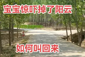 宝宝受到惊吓掉了阳云如何叫回来#叫魂#道家文化 #宝宝惊吓