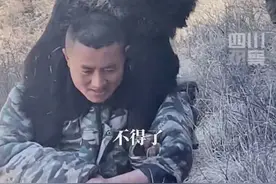 4月14日，四川丹巴。无人机热成像+猎犬围捕，#护农狩猎队5分钟撂倒200多斤野猪，捕猪拼科技，背猪靠耐力，队员：扛猪下山耗费5小时……视频封面