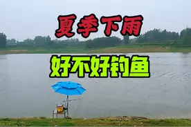 为什么夏季下雨降温时，鱼反而难钓了，钓鱼硬知识