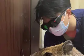 卡什卡：人是个好人 就是嘴太碎了#有只卡皮巴拉叫卡什卡视频封面