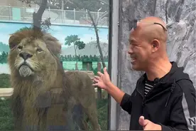襄垣大嘴胖闺女你敢和狮子亲嘴😂仙堂山旅游季，我们不见不散 #山西长治 #仙堂山旅游季 #此是蓬莱真境界#襄垣 #我是山西人我为山西文旅上分视频封面