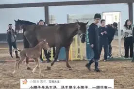 被整个马群嘶吼和共鸣所震撼，新生命，新希望。#动物的迷惑行为 #动物 #马 感谢@小猫王佑佑 接受采访视频封面