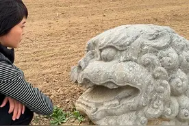 北宋皇陵，一座承载着千年历史的遗迹，其深处隐藏着无数未解之谜。在这片广袤的田地之下，石狮子静静地躺在泥土中，宛如忠诚的守护者，耐心地等待着世人的探寻。它们见证了无数历史的风云变幻，留下了不可磨灭的珍贵印记。。#北宋皇陵 #石狮子 #历史遗迹 #文化探索 #总要去一趟河南吧视频封面