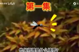 后续:男主重生成为了蚊子，激活无敌吞噬进化系统视频封面
