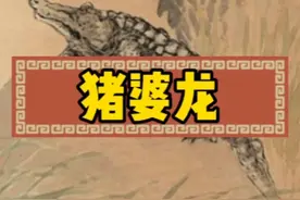 中国古代的猪婆龙到底是什么物种？#冷知识视频封面