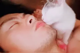 以前起床还需要闹钟叫醒，现在被猫每天五点准时舔醒视频封面