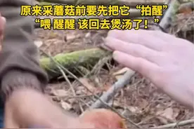#今日国土科普 原来采蘑菇前要先把它“拍醒”，“喂，醒醒，该回去煲汤了”！视频封面