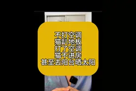 不打空调，猫趴地板，打了空调，猫不进房，甚至去阳台晒太阳，夏天到了到底要不要给猫降温#科学养宠攻略 #猫行为视频封面