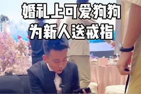 婚礼上可爱的狗狗为新人送戒指💍 #婚礼 #狗狗送戒指 #狗狗 #主持人景浩 #言值主持人俱乐部视频封面