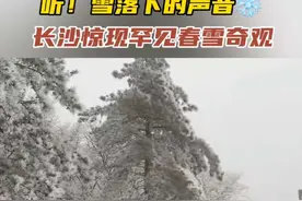#长沙下雪了 浏阳大围山飘起鹅毛大雪 #三月的雪视频封面