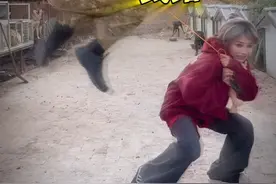 @潘宏爱玩狗  也没什么压力 小狗而已 希望下次能强度大一点 #潘宏爱玩狗